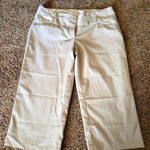 Studio Y Dressy Capris